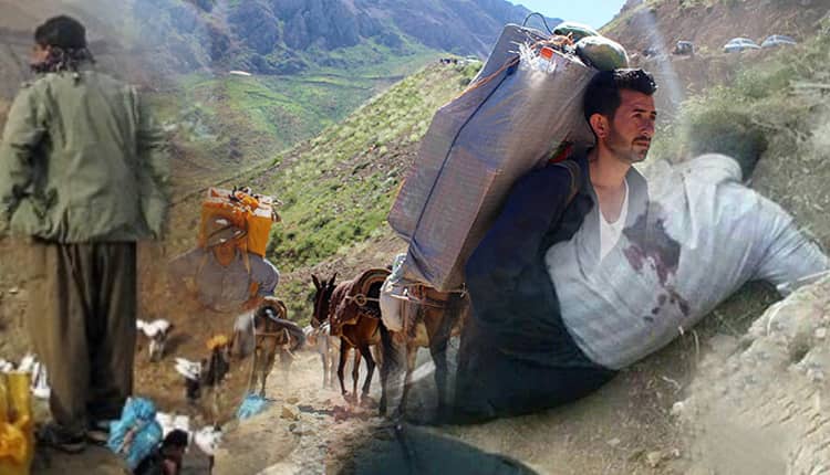 كوژران و بریندار بوونی ١٥ كۆڵبه‌ر ته‌نها له‌ ماوه‌ی یه‌ك مانگی ڕابردوودا