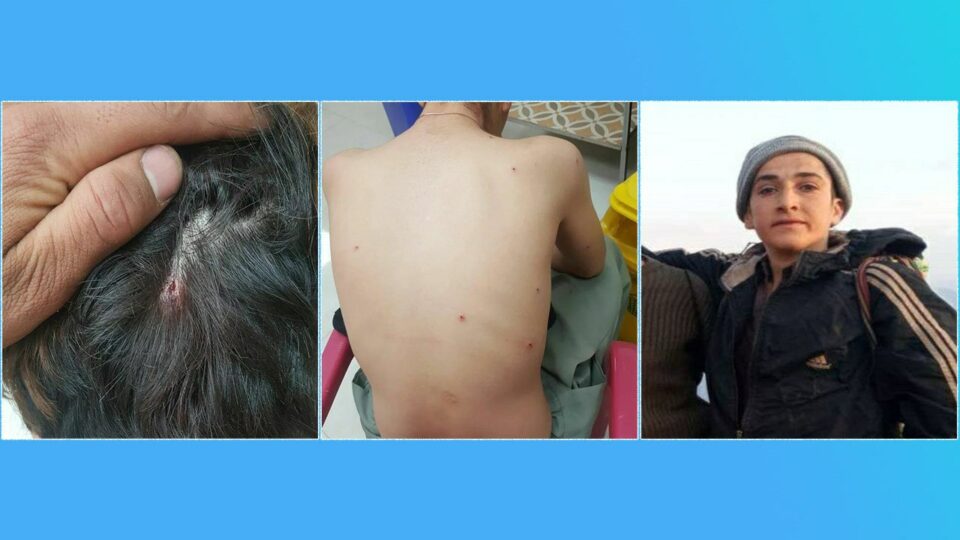 برینداربوونی كۆڵبه‌رێك له‌ سنووری نه‌وسوود 3 3