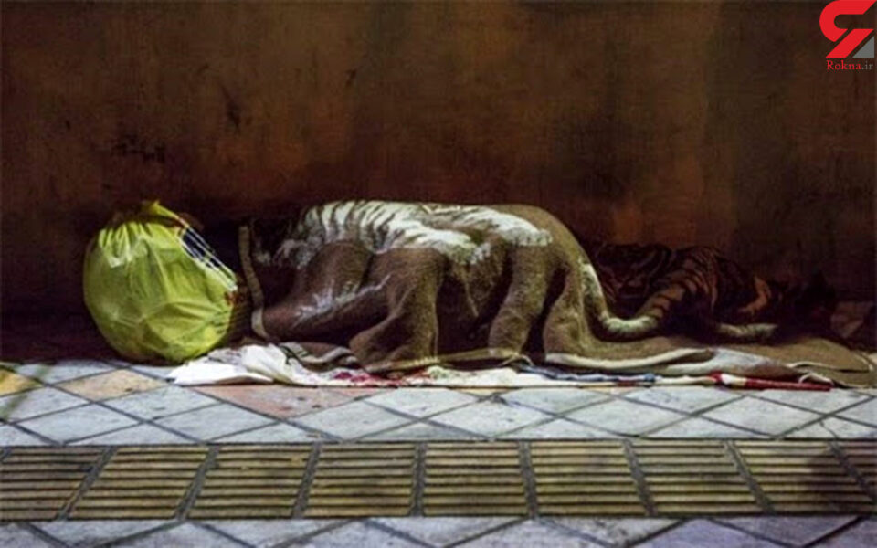 گیان له‌ده‌ستدانی كارتۆنخه‌وێك له‌ شاری سنه‌ 1