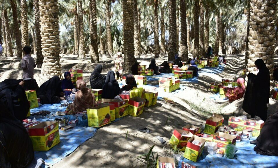باروودۆخی خراپی ژنانی كرێكاری به‌لووچ له‌ نه‌خلستانه‌كان 1