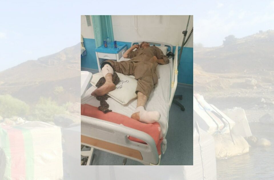 برینداربوونی كۆڵبه‌رێك له‌ سنووری بانه