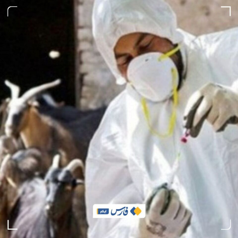 چوونه‌سه‌ره‌وه‌ی ڕێژه‌ی تووشبووانی نه‌خۆشی ته‌بی ماڵت له‌ ئیلام