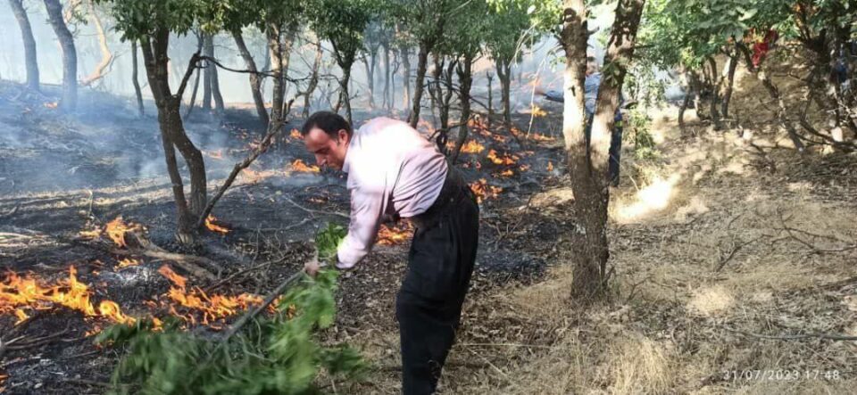 ئاگردانی دارستانه‌كانی ڕه‌به‌ت، بانه و سنه‌ له‌لایه‌ن ڕژیمه‌وه‌