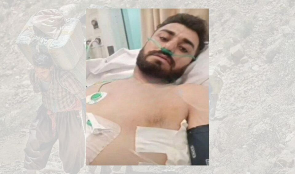 برینداربوونی كۆڵبه‌رێك له‌ سنووری بانه 1 2