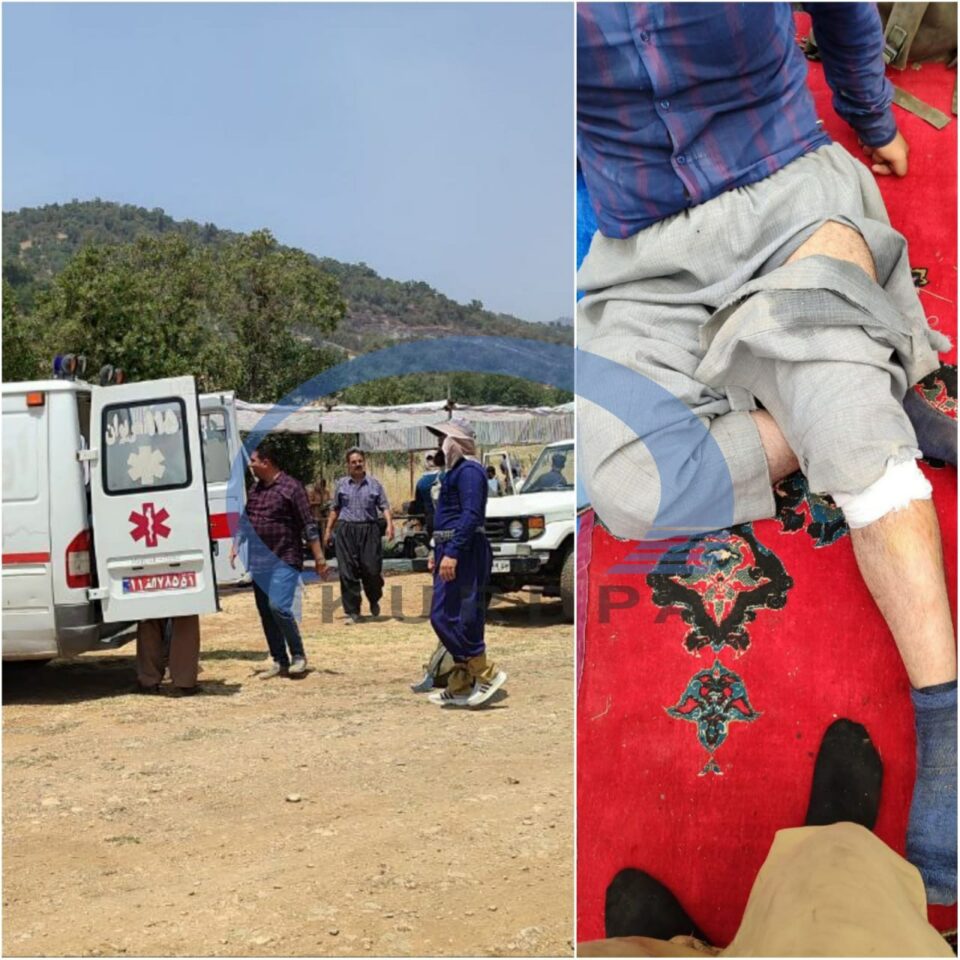 برینداربوونی چوار كه‌س له‌ كاتی كوژانه‌وه‌ی ئاگری دارستانه‌كانی