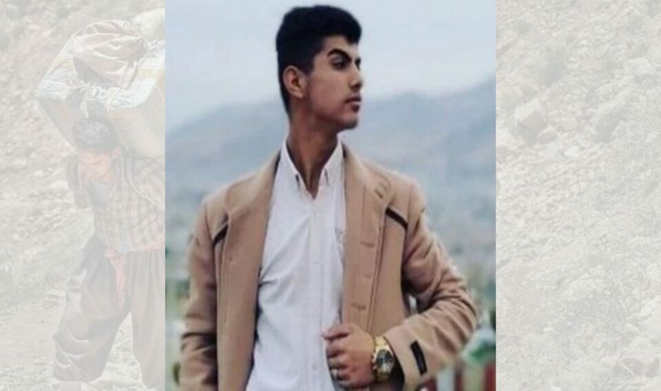 برینداربوونی كۆڵبه‌رێك له‌ سنووری بانه 1 4