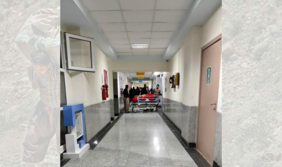 برینداربوونی كۆڵبه‌رێك له‌ سنووری نه‌وسوود 1 12