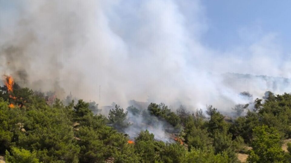 ئاگرگرتنی دارستانه‌كان له‌ سمسووری باكووری كوردستان 1