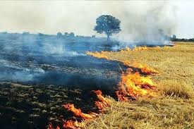 سووتانی ٨٨ هێكتار له‌ مێرگ و له‌وه‌ڕگه‌كانی شاری بۆكان