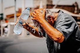 گه‌رمابردوویی ٥٠ شاخه‌وان له‌ شاری سنه‌