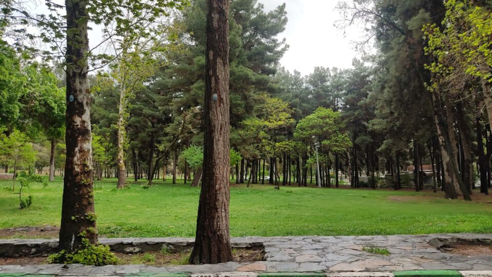 گەندەڵی سیستماتیک لە پارکی تاقبۆستانی کرماشان