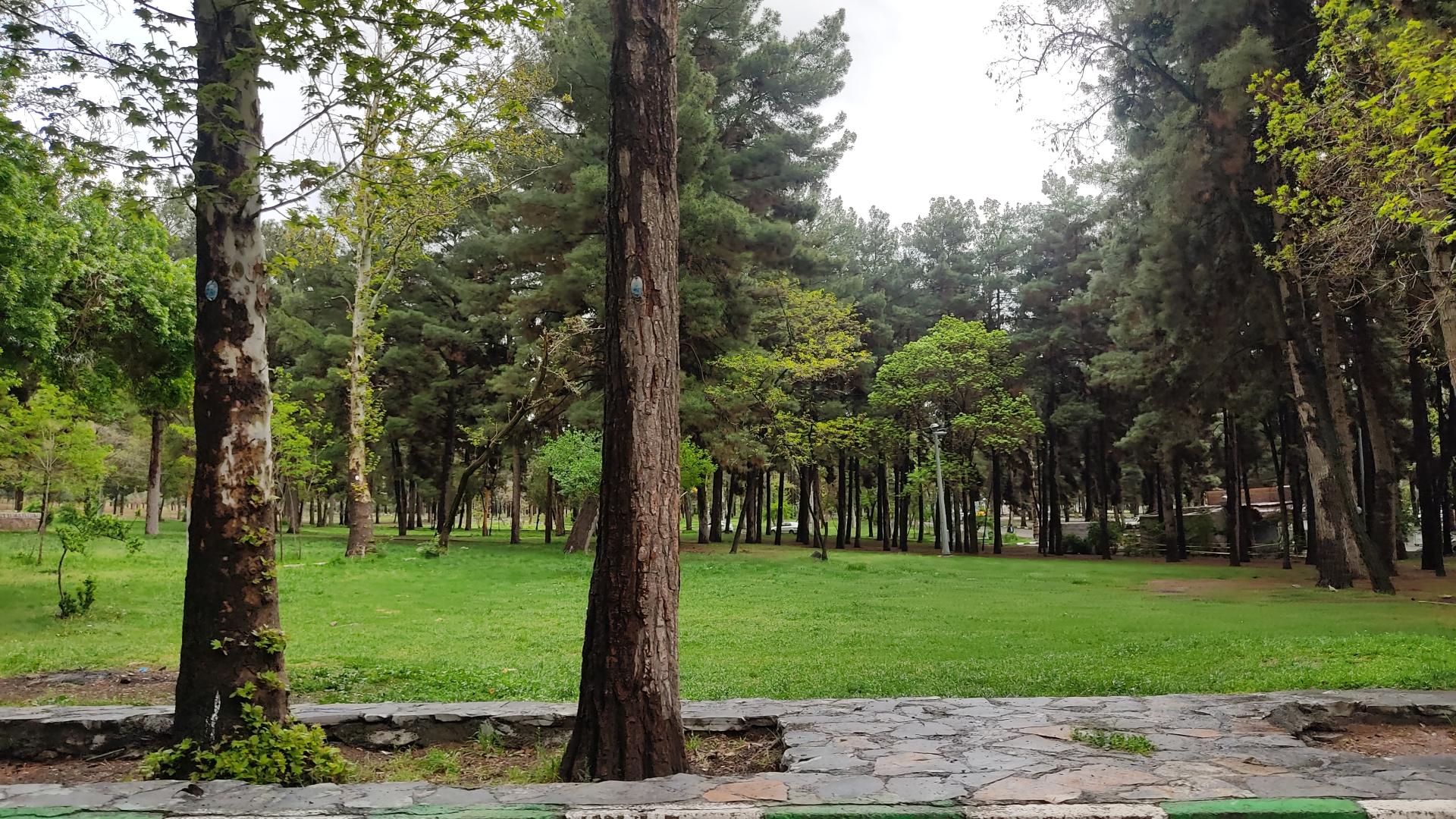 گەندەڵی سیستماتیک لە پارکی تاقبۆستانی کرماشان