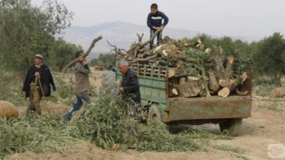 به‌ تاڵان بردنی سه‌روه‌ت و سامانه‌ سرووشتییه‌كانی عه‌فرین 1
