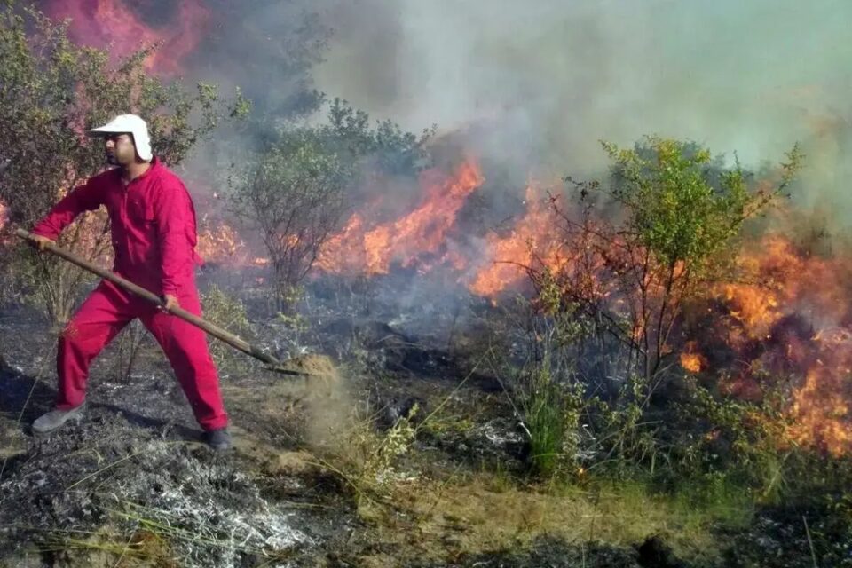 به‌رده‌وامی ئاگری دارستانه‌كانی نه‌منه‌ق له شارستانی جۆلفا 1