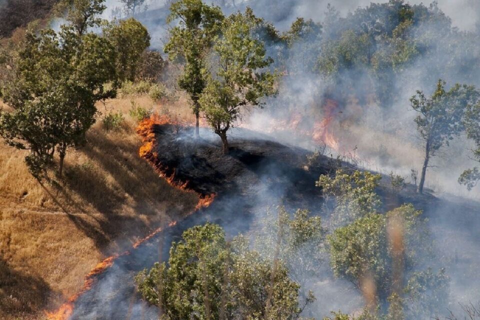 به‌رده‌وامی ئاگری دارستانه‌كانی هیركانی له‌ پارێزگای مازه‌نده‌ران 1