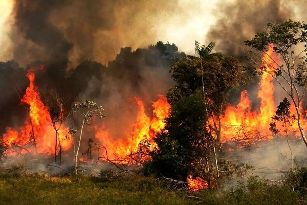 به‌رده‌وامی سووتانی دارستانه‌كانی هیركانی له‌ پارێزگای مازه‌نده‌ران