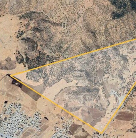 بڕینه‌وه‌ و تاڵان كردنی دارستانه‌كانی ده‌وروبه‌ری شاری مه‌ریوان