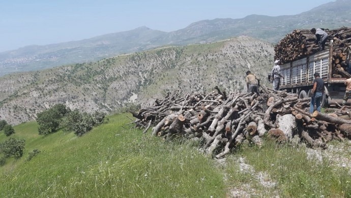 تاڵانی دارستانه‌كانی باكووری كوردستان له‌ لایه‌ن ڕژیمی توركیاوه‌