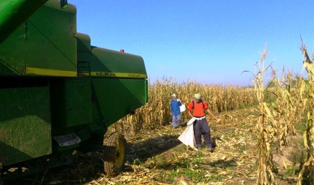 كۆبوونه‌وه‌ی ناڕه‌زایه‌تی كه‌شاوه‌رزانی ناوچه‌ی مۆغان