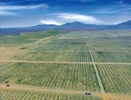 مانگرتنی كرێكارانی ده‌شتی زه‌یدون له‌ پارێزگای ورمێ