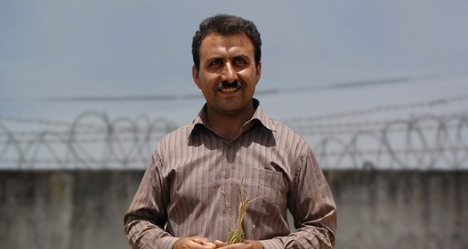 ئازادی كاتی سێ هاووڵاتی ده‌ستبه‌سه‌ر كراو له‌ شاره‌كانی كامیاران، دیوانده‌ره‌ و نه‌غه‌ده‌