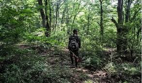 ناڕەزایەتی پاسەوانانی دارستانەکانی مازندەران