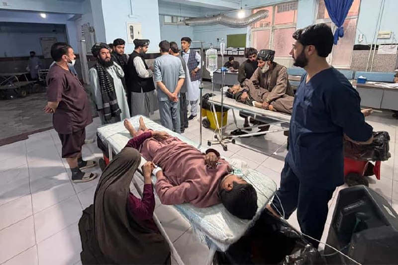 گوللەبارانی بەکۆمەڵی شیعەکان لە هەرات