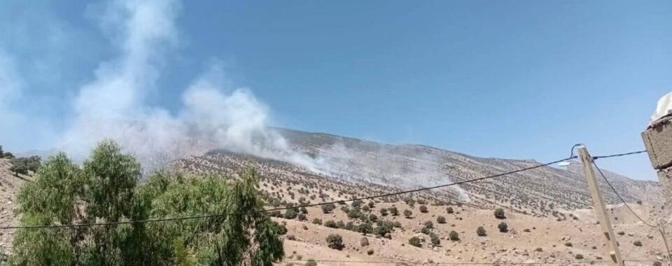 ئاگر گرتنی شاخەکانی کەڤرتوو لە پارێزگای ئیلام 1