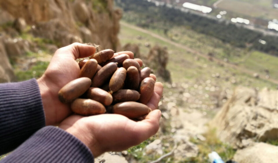 بانگه‌وازی ڕێكخراوی ژینگه‌پارێزی شاری پیرانشار 2