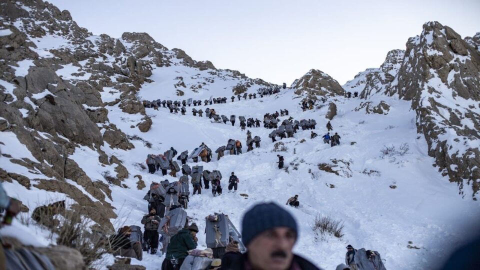 برینداربوونی كۆڵبه‌رێك له‌ سنووری سه‌لاسی باوه‌جانی 1 1