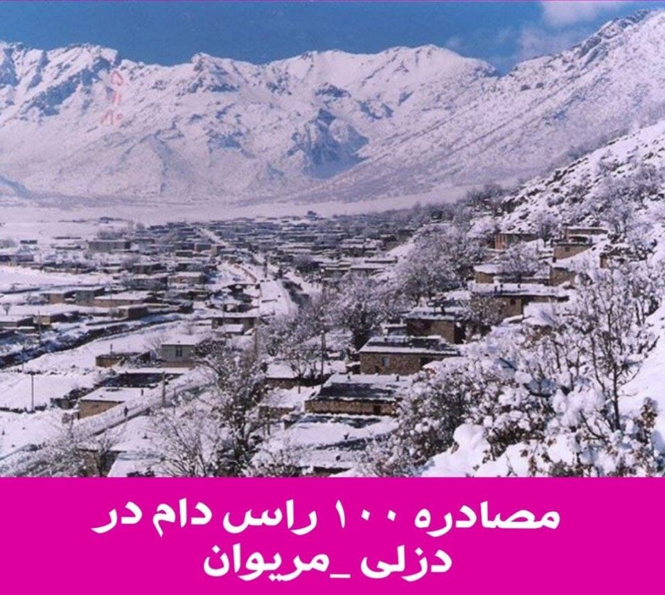 دەستبەسەرداگرتنی ١٠٠سەر مەڕوماڵاتی خه‌ڵكی دزڵی لەلایەن هێزەکانی