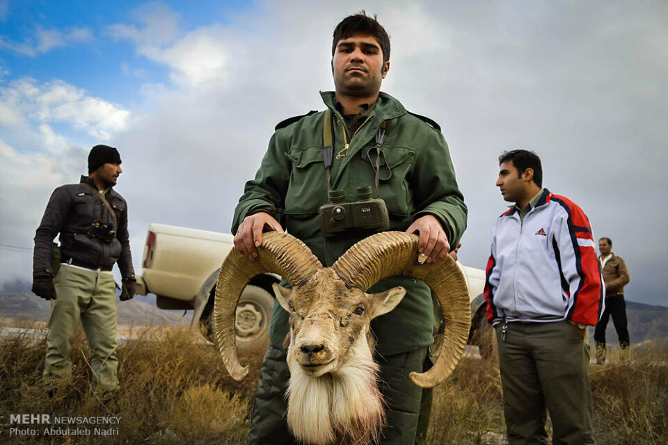 دەستبەسەرکرانی ٥٠٦ ڕاوچی لە ماوی یەک ساڵی ڕابردوو لە ئازەربایەجانی