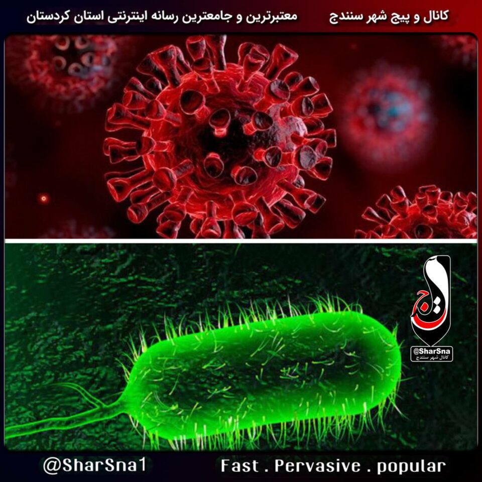 هۆشداری بێهداشت و ده‌رمانی كوردستان له‌سه‌ر بڵاوبوونه‌وه‌ی نه‌خۆشییه‌كانی