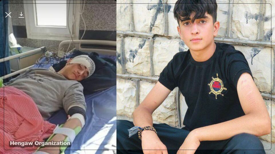 برینداربوونی كۆڵبه‌رێك له‌ سنووری نه‌وسوود 4