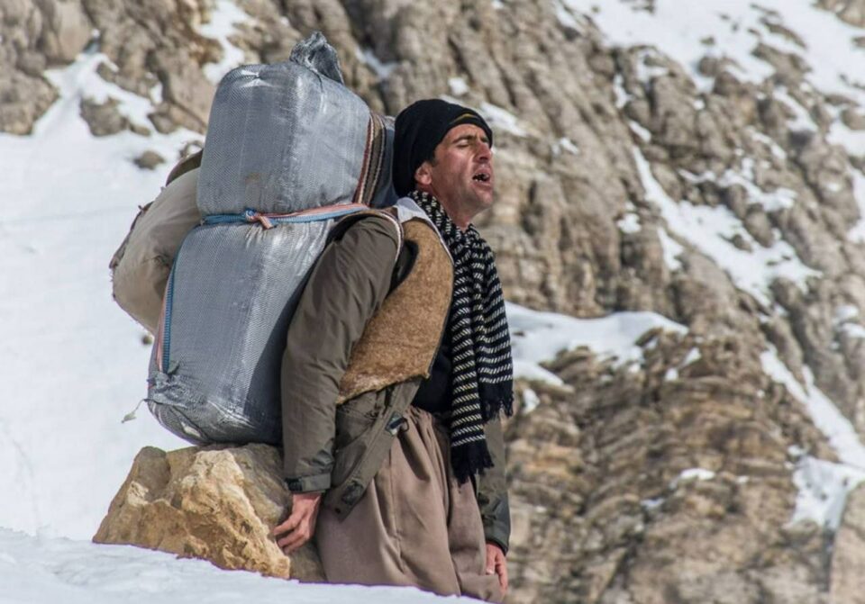 برینداربوونی كۆڵبه‌رێك له‌ سنووری نه‌وسوود 1 2