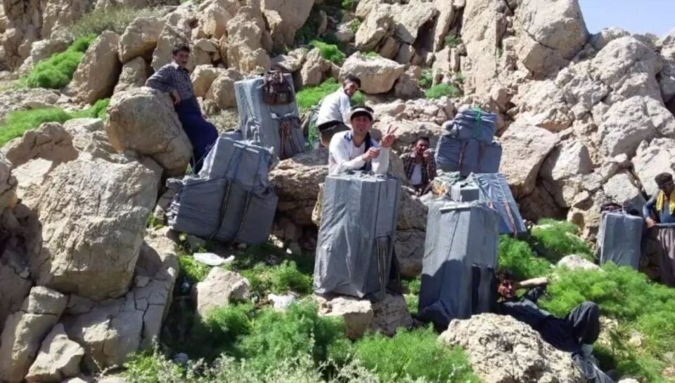 برینداربوونی كۆڵبه‌رێك له‌ سنووری نه‌وسوود