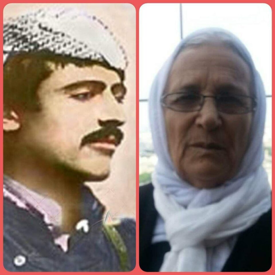 ماڵئاوایی له ژیانی دایکی گیانبختکردویه‌کی کۆمه‌ڵه له شاری سه‌قز 1