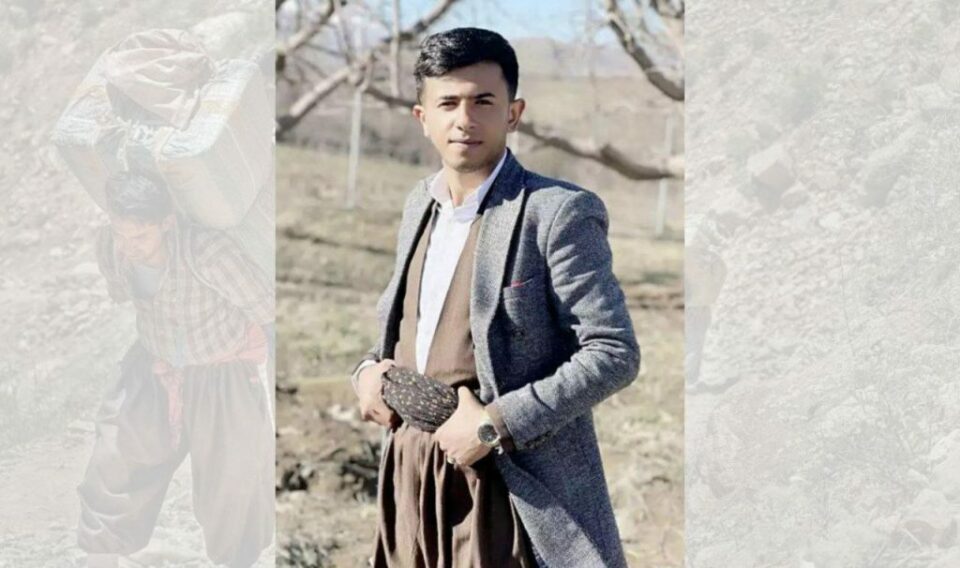 برینداربوونی كۆڵبه‌رێك له‌ سنووری بانه 1 8