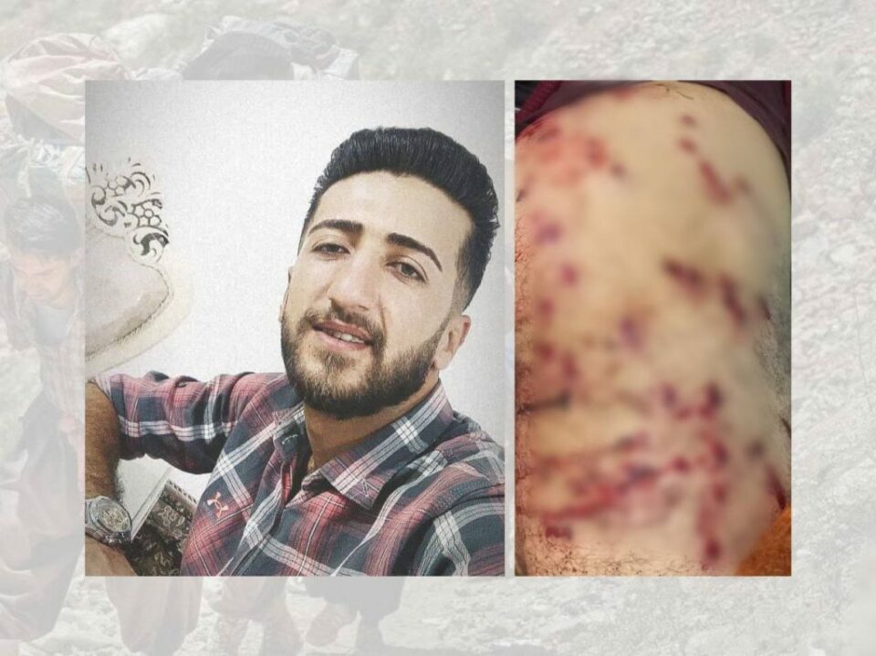 برینداربوونی كۆڵبه‌رێك له‌ سنووری بانه 1 9