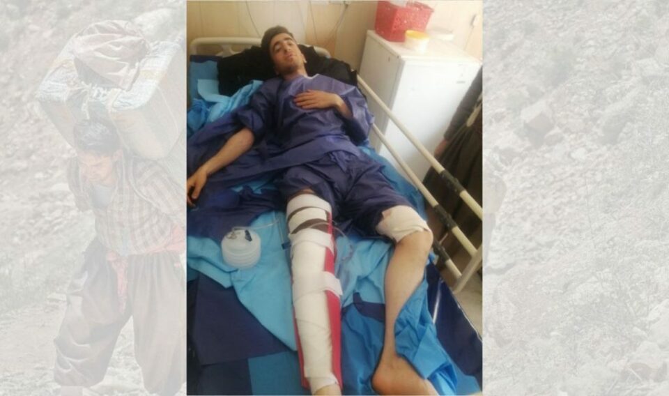 برینداربوونی كۆڵبه‌رێك له‌ سنووری نه‌وسوود 1 8