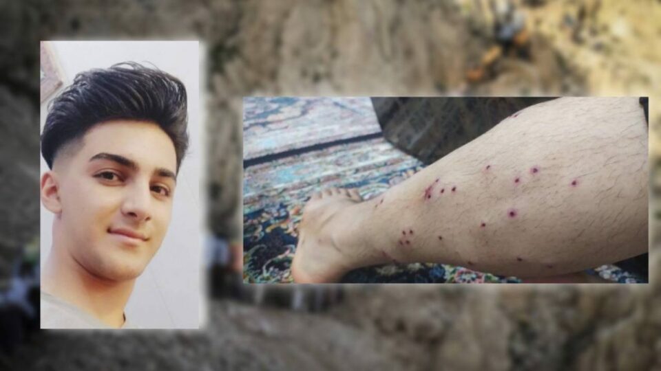 برینداربوونی كۆڵبه‌رێك له‌ سنووری بانه 1 4