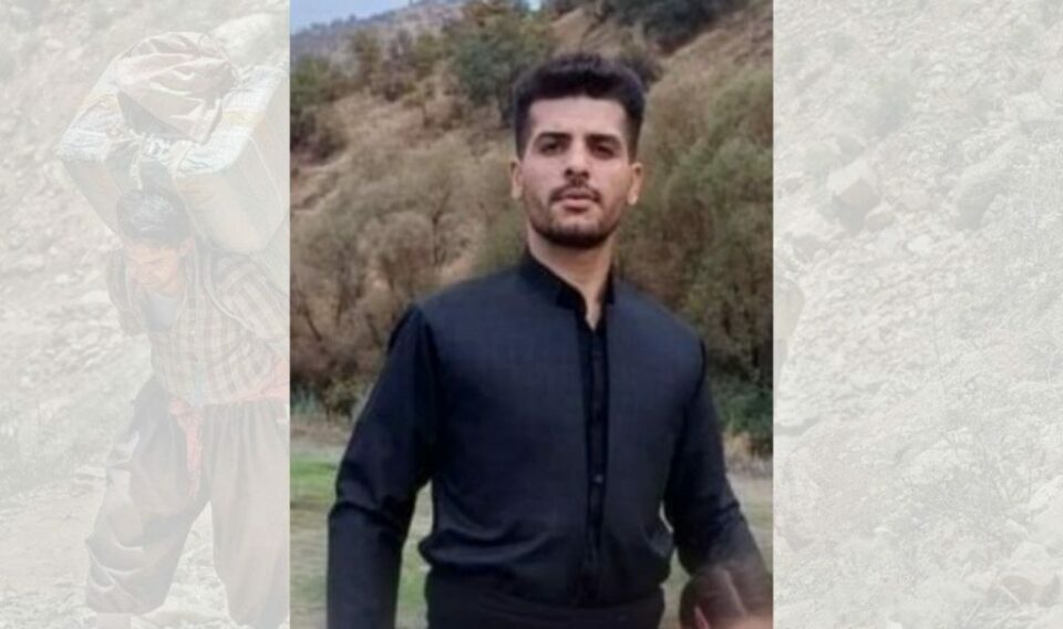برینداربوونی كۆڵبه‌رێك له‌ سنووری مه‌ریوان 1