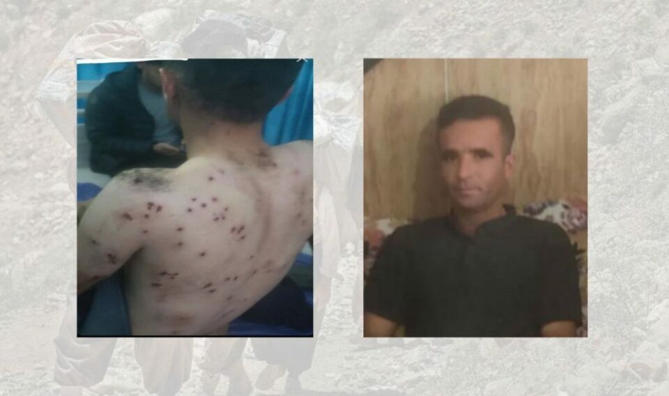 برینداربوونی كۆڵبه‌رێك له‌ سنووری نه‌وسوود 1 2