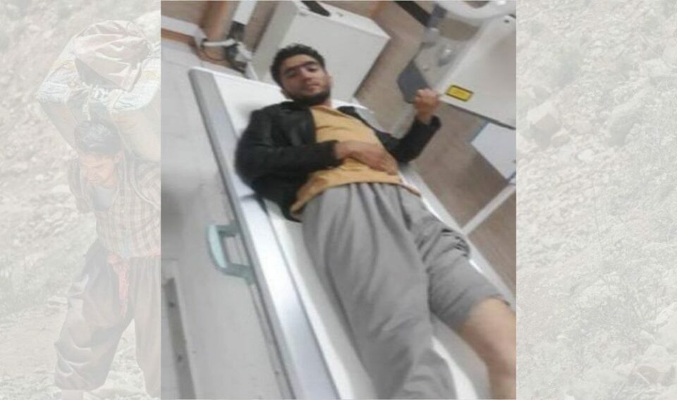 برینداربوونی كۆڵبه‌رێك له‌ سنووری نه‌وسوود 1 10