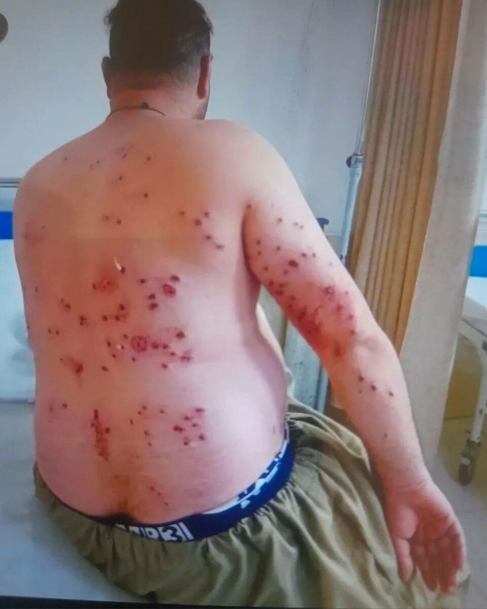 برینداربوونی ١٠ كۆڵبه‌ر له‌ سنووری نه‌وسوود 3