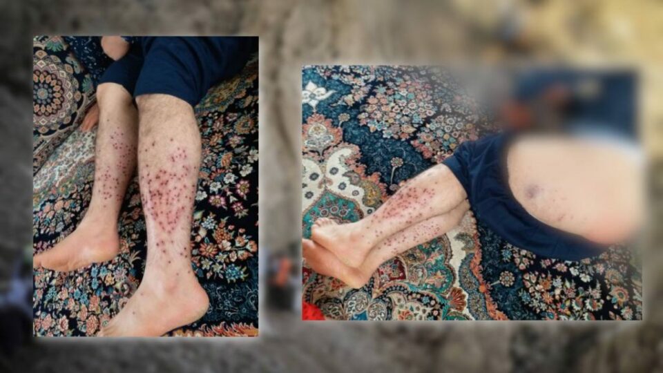 برینداربوونی چوار كۆڵبه‌ر له‌ سنووری بانه 1