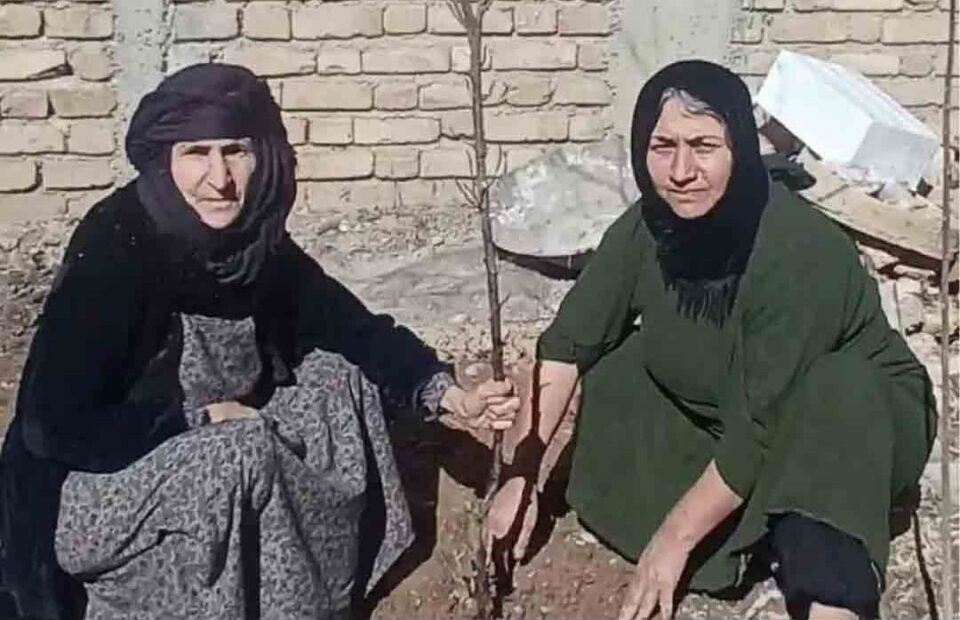چاندنی نه‌مام له‌لایه‌ن دایه‌ شه‌ریفه‌‌ بۆ ڕێزگرتن له‌ یادی گیانبه‌ختكردووان
