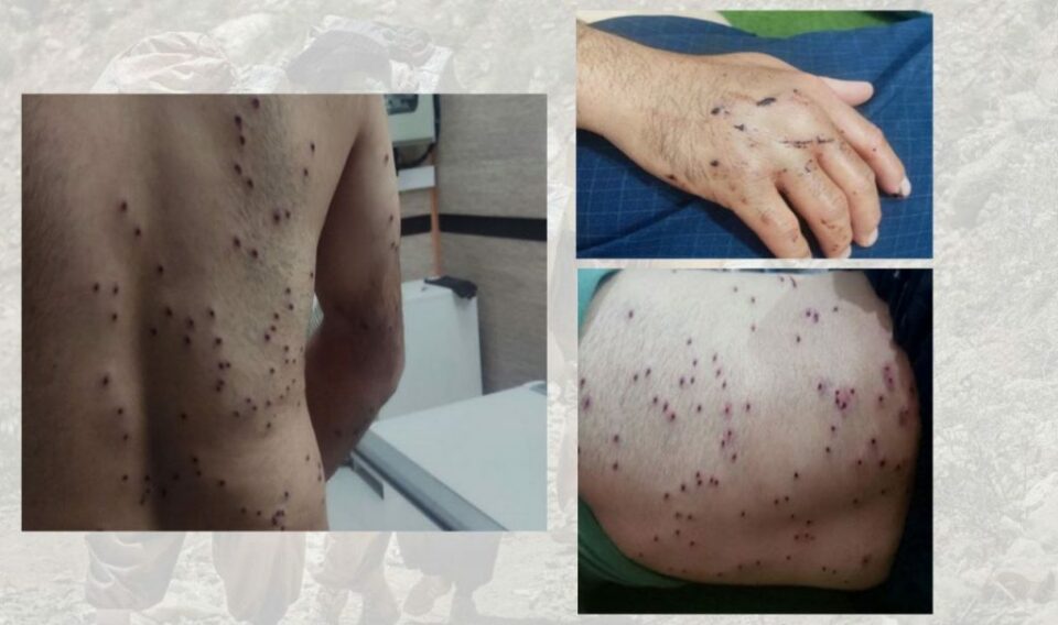 برینداربوونی كۆڵبه‌رێك له‌ سنووری بانه 1 18