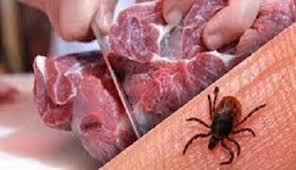 مه‌رگ و به‌سته‌ری بوونی شه‌ش كه‌ش به‌ نه‌خۆشی ته‌بی كه‌ریمه‌ی كۆنگۆ