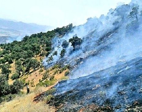 سووتانی پووش و پاوانی چیای سوورینی بانه به‌هۆی مانۆڕی سپای پاسداران